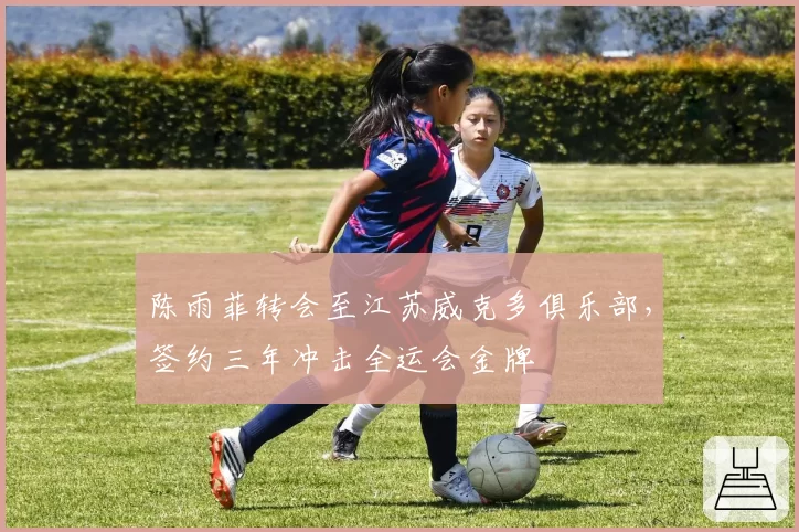 陈雨菲转会至江苏威克多俱乐部,签约三年冲击全运会金牌